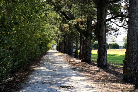 Terara Riverside Retreat - Tweed Heads Accommodation 30