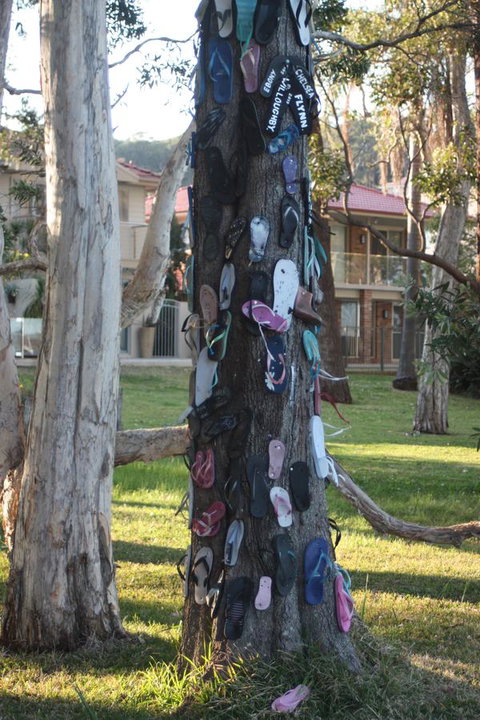 Ambience - Tweed Heads Accommodation 33