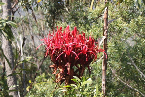 Ambience - Tweed Heads Accommodation 30