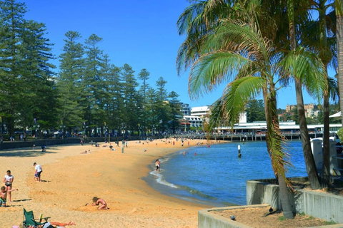 Oversized 2 Bedroom Manly Beach House - Tweed Heads Accommodation 14