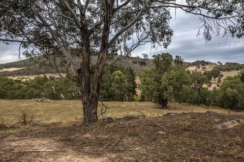 Pound Creek Gallery - Tweed Heads Accommodation 29