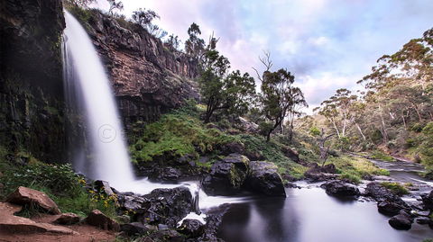 Pound Creek Gallery - Tweed Heads Accommodation 14
