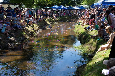 Pound Creek Gallery - Tweed Heads Accommodation 15