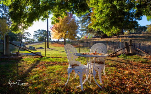 Pound Creek Gallery - Tweed Heads Accommodation 27
