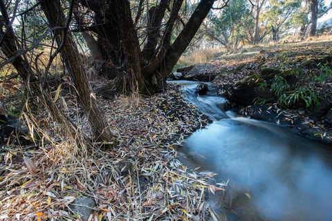 Pound Creek Gallery - Tweed Heads Accommodation 26
