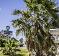Allonville Gardens Motel - Tweed Heads Accommodation