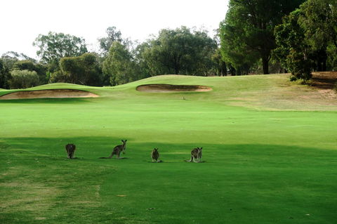 Mulwala Resort - Tweed Heads Accommodation 40