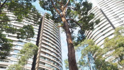 SkyGarden Sydney Olympic Park 3 & 4 Bedroom City View - Tweed Heads Accommodation 33