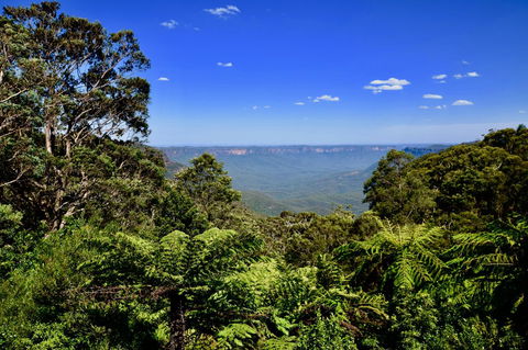 Dangal Gardens - Tweed Heads Accommodation 28