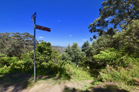 Dangal Gardens - Tweed Heads Accommodation 30