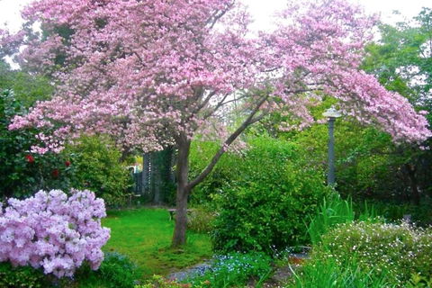 Dangal Gardens - Tweed Heads Accommodation 3