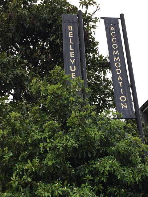 Bellevue Accommodation - Tweed Heads Accommodation 17