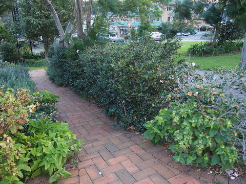 Bellevue Accommodation - Tweed Heads Accommodation 22