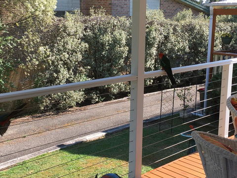 The Best Exotic Magnolia Cottage - Tweed Heads Accommodation 15