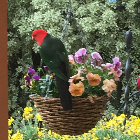 The Best Exotic Magnolia Cottage - Tweed Heads Accommodation 32