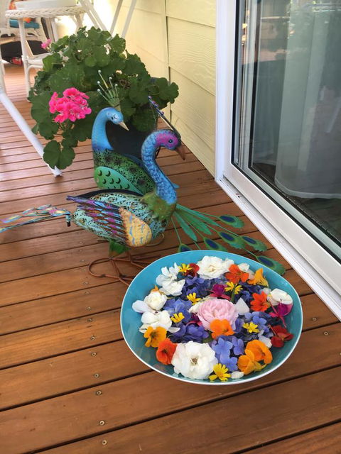 The Best Exotic Magnolia Cottage - Tweed Heads Accommodation 8