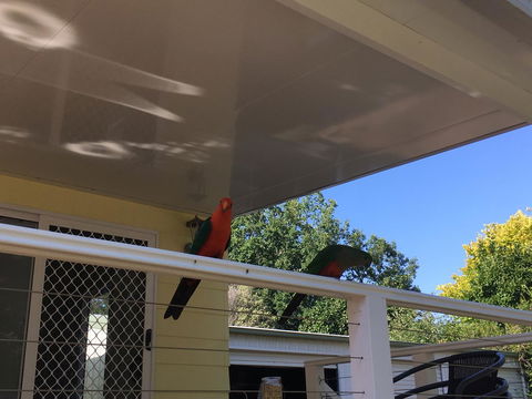 The Best Exotic Magnolia Cottage - Tweed Heads Accommodation 11