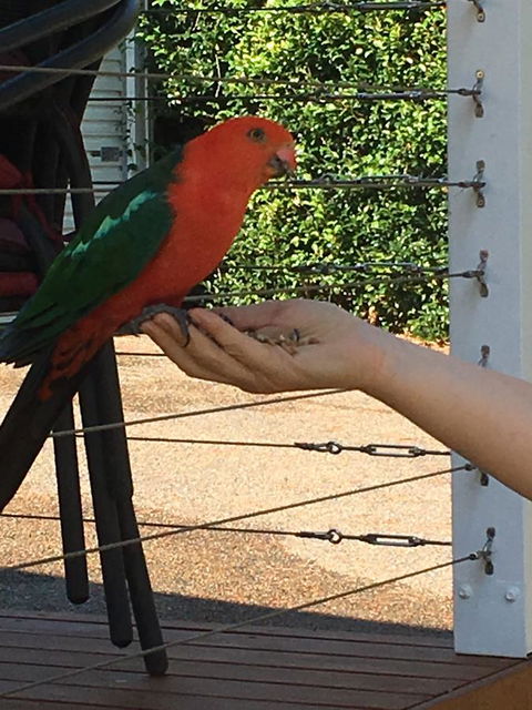 The Best Exotic Magnolia Cottage - Tweed Heads Accommodation 13