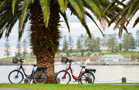 Belle Vue- Penthouse At Black Beach - Tweed Heads Accommodation 8