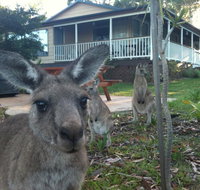 Bush  Bay Cottage - Tweed Heads Accommodation