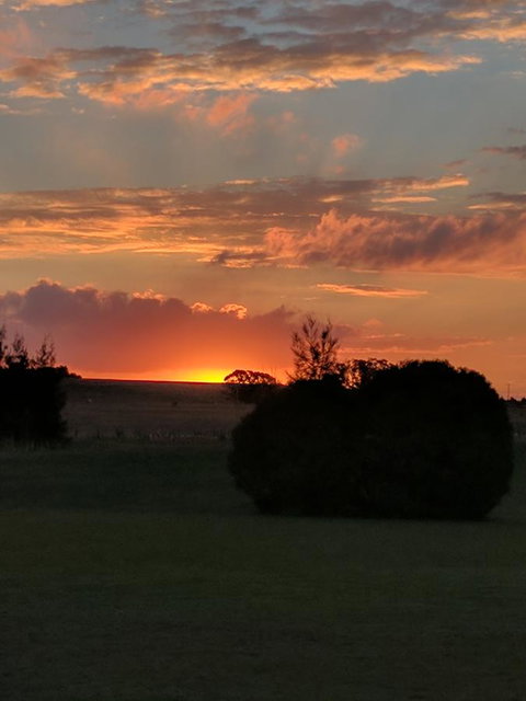 Madigan Wine Country Cottages - Tweed Heads Accommodation 13