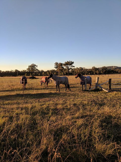 Madigan Wine Country Cottages - Tweed Heads Accommodation 8