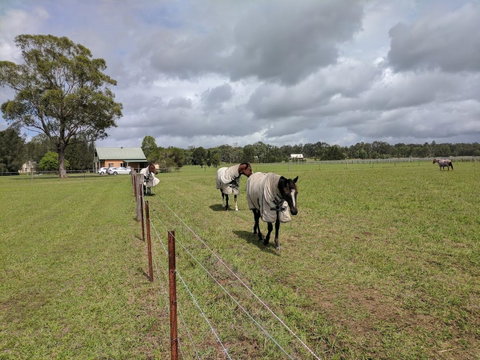 Madigan Wine Country Cottages - Tweed Heads Accommodation 9