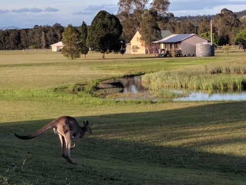 Madigan Wine Country Cottages - Tweed Heads Accommodation 6