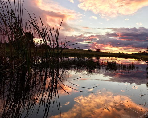 Madigan Wine Country Cottages - Tweed Heads Accommodation 16