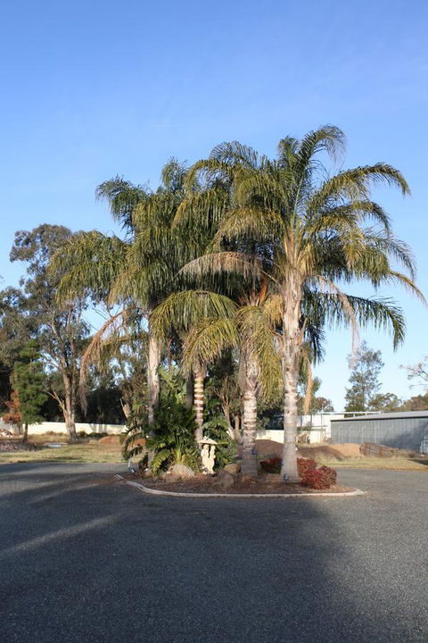 Temora Motel - Tweed Heads Accommodation 6