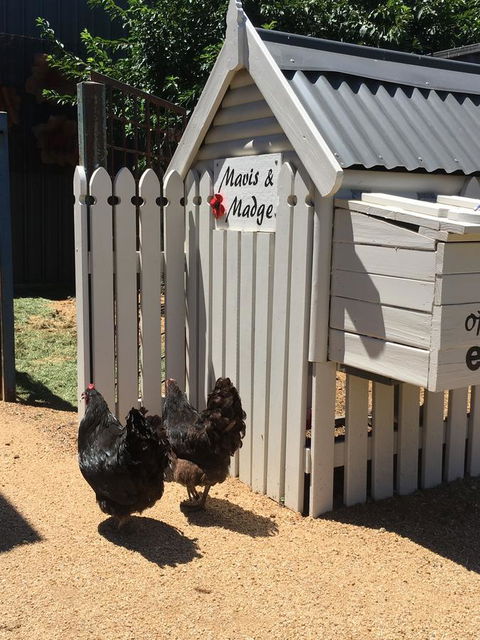 Thelma's Temora - Tweed Heads Accommodation 12