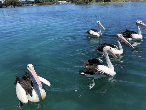 Centrepoint 10 - Tweed Heads Accommodation 8
