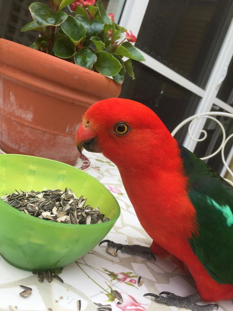 Bundanoon Lodge - Tweed Heads Accommodation 5