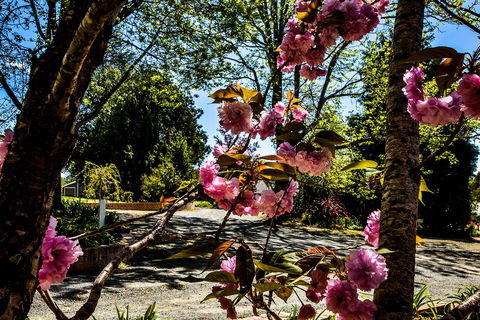 Bundanoon Lodge - Tweed Heads Accommodation 3