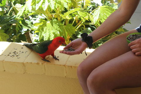 Bundanoon Lodge - Tweed Heads Accommodation 4