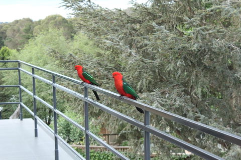 Bundanoon Lodge - Tweed Heads Accommodation 7