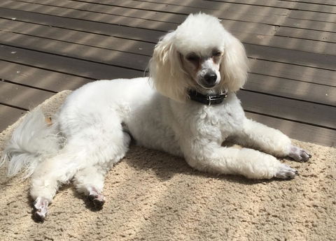 Bundanoon Lodge - Tweed Heads Accommodation 14