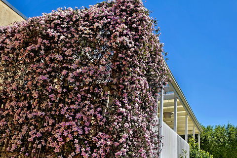 Bundanoon Lodge - Tweed Heads Accommodation 13