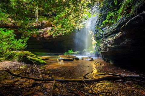 Sky Rider Motor Inn - Tweed Heads Accommodation 23