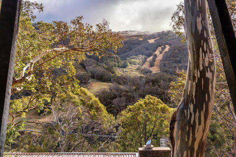 Pure Chalet Thredbo - Tweed Heads Accommodation 35