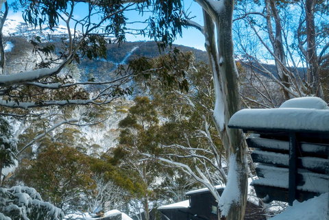 Pure Chalet Thredbo - Tweed Heads Accommodation 30