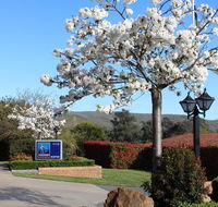 Hume Country Motor Inn - Tweed Heads Accommodation