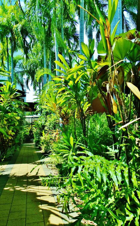 Palms City Resort - Tweed Heads Accommodation 14