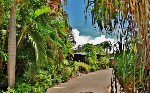 Palms City Resort - Tweed Heads Accommodation 4
