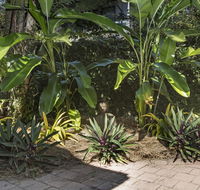 Nineteen on Nudl - Tweed Heads Accommodation