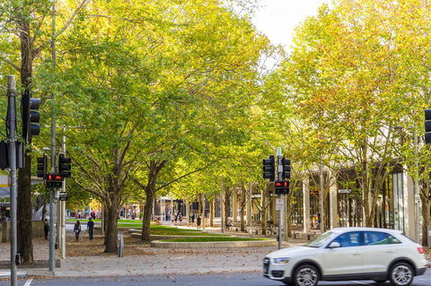 Highgate Executive Apartment City Walk Canberra - Tweed Heads Accommodation 37