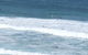 Bondi 38 Serviced Apartments - thumb 2