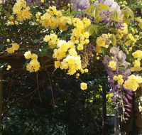 Bowral Road Bed and Breakfast - Tweed Heads Accommodation