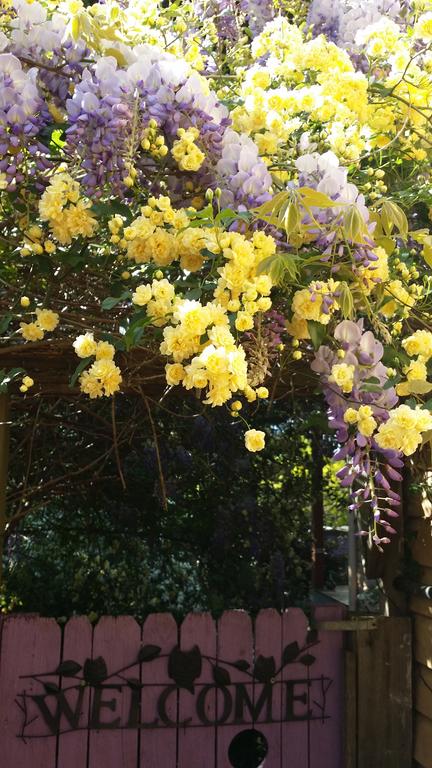 Bowral Road Bed And Breakfast - Tweed Heads Accommodation 0