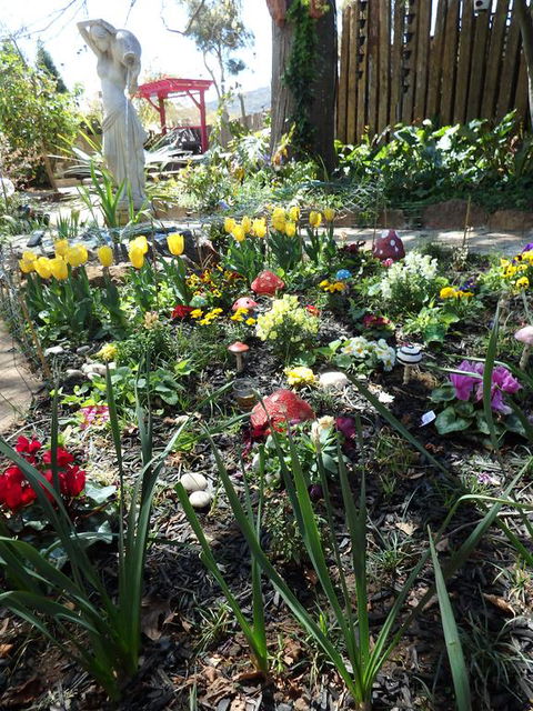 Bowral Road Bed And Breakfast - Tweed Heads Accommodation 1